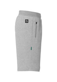 Lichtgrijze sweatshorts van zacht materiaal. Heeft een elastische tailleband en een zijzak met rits. Inclusief een klein logo-opdracht op de voorkant.