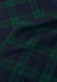 adidas Originals TARTAN SCARF - Sjal / Tørklæder - night indigo/collegiate green
