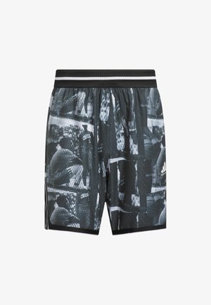 adidas Performance CRAZY LITE AOP - Kurze Sporthose - white black