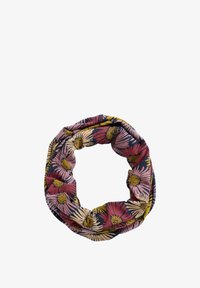 Valitud, multi painted asters maritime