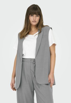 CARMARINE  - Vest - light grey melange