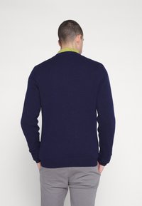 Maglione di cotone blu navy con bordi e polsini a coste, scollatura rotonda, indossato sopra una camicia con colletto a righe verdi, visto dal retro.