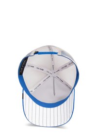 Gorra de béisbol con visera azul, tela de rayas blancas y interior de malla. Presenta una etiqueta negra con "THE FARM" en la parte posterior.
