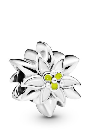 EDELWEISS FLOWER - Charms - silver coloured