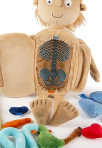 Soft anatomical doll with open chest showing fabric skeleton, surrounded by removable stuffed organs in various colors.