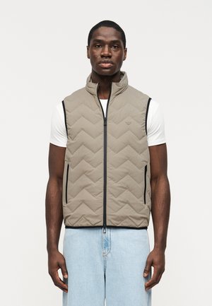 Vesta - mourning dove