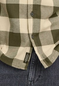 Grønn og beige rutete flanellskjorte med to grå knapper og et merke, brukt over mørk denim. Skjortekrage synlig.