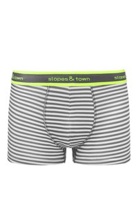 Szare i białe, w paski, szorty bokserskie o dopasowanym kroju, z neonowozielonym pasem w talii z logo "slopes & town". Miękka tekstura materiału.