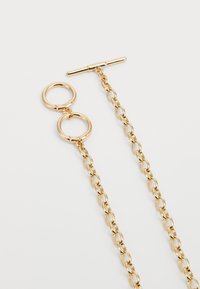 Zelta ķēdes kaklarota ar diviem apaļiem gredzeniem un T formas aizdari. Ķēde izceļas ar gludu, spīdīgu apdari un ovālām saitēm.