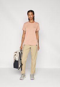 Patagonia DAILY GRAPHIC WATERS - T-skjorte til trening - terra pink