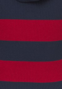 Tommy Jeans ZIP HOOD  - Kapuutsiga pusa - dark night navy/multi