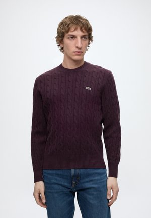 Uomo con i capelli ricci castano chiaro che indossa un maglione a trecce viola scuro e jeans blu, in piedi davanti a uno sfondo bianco semplice.