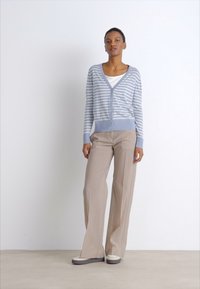 Cardigan a righe di un leggera tonalità di blu con scollatura a V, abbinato a pantaloni beige a gamba larga e scarpe grigie. Tessuto texture e chiusura frontale con bottoni visibili.