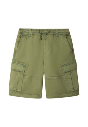 ARLO - Pantaloni cargo - dusky green