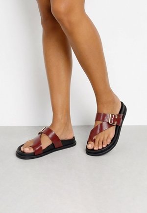 Pies con sandalias planas negras con amplias tiras de cuero marrón y hebillas de metal sobre un suelo gris claro y fondo blanco.