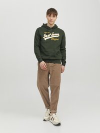 Jack & Jones JJELOGO HOOD - Felpa con cappuccio - mountain view
