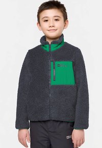 Giacca in pile grigia con accenti verdi, tasca frontale con zip, collo alto e tessuto strutturato. Logo visibile nella zona del petto.