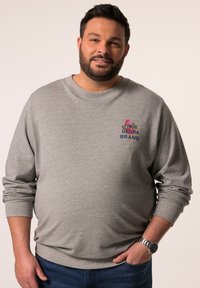 Šedá mikina s žebrovanými manžetami a spodním lemem, na hrudi s mnohobarevným textem "TRUE DENIM BRAND". Nosená s modrými džínami.