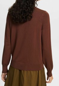 Pull tricoté marron à manches longues avec ourlet côtelé, associé à une jupe verte. Le tissu semble doux avec une texture lisse.