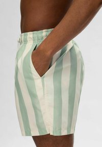 Mintgrüne und cremefarbene gestreifte Badeshorts mit elastischem Bund, Kordelzug und Seitentaschen. Leichtes, glattes Material.