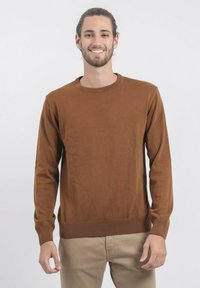 Pull en maille marron à manches longues, fabriqué dans un matériau doux, avec un col rond et des bords côtelés aux poignets et à l'ourlet. Design simple et uni.