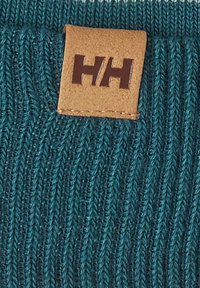 Helly Hansen RIDGELINE  - Gorro - dark creek