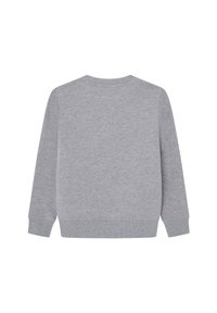 Pepe Jeans NEW LAMONTY - Collegepaita - marl grey
