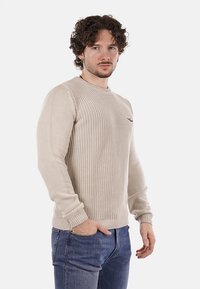 Maglione beige a maglia con scollatura rotonda, polsini e orlo a coste, con un piccolo logo sul petto. Indossato con jeans blu.