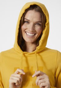 Helly Hansen LOGO - Mikina s kapucí - honeycomb