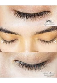 Immagine in miniatura 4