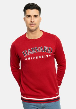 SITY - Jersey de punto - rubí