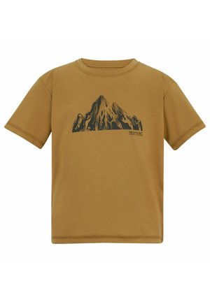 Braunes kurzärmeliges T-Shirt mit einer schwarzen Grafik von Berggipfeln und dem Text „Regatta Great Outdoors“ unten rechts.