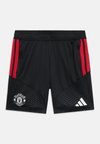 MANCHESTER UNITED 26/27 TIRO TRAINING UNISEX - Αθλητικό σορτς - black
