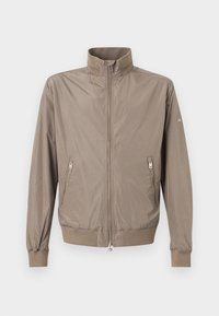 Non selezionato, brindle