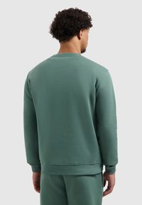 Groene sweatshirt van zachte katoenmix met een ronde hals, geribbelde manchetten en zoom. Eenvoudig ontwerp met een gladde, gestructureerde afwerking.