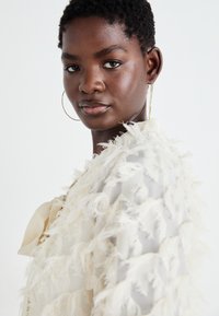 VILA VIFEATHER - Leichte Jacke - birch