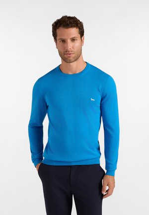 Uomo con capelli corti e ricci, che indossa un maglione girocollo blu brillante e pantaloni scuri, in piedi con le mani nelle tasche davanti a uno sfondo bianco.