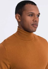 Brauner Rollkragenpullover mit geripptem Kragen, figurbetontem Design und glatter Textur, getragen von einer Person mit kurzen Haaren und neutralem Hintergrund.