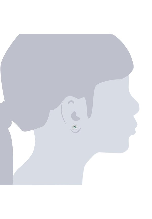 Ohrringe – silberfarben