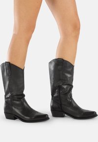 Botas de vaquero de cuero negro con punta afilada, costuras decorativas y cremallera lateral. Tacón corto, diseño clásico y textura suave.