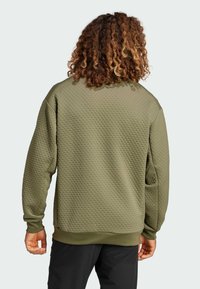 Adidas Terrex XPLORIC CREW NECK - Sudadera - olive strata