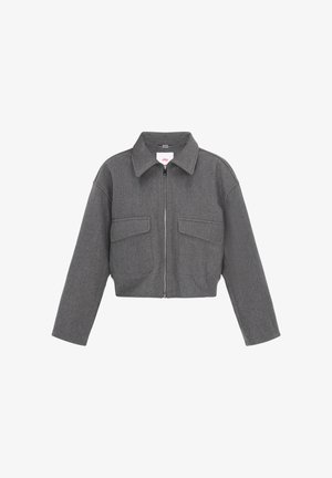 Gray cropped jacket made of wool blend, features a zip front, spread collar, and two chest pockets, with a slightly textured surface.
