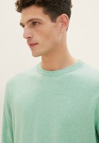Hellgrüner Rundhals-Pullover aus strukturiertem Strickstoff. Verfügt über ein dezentes Logo auf der Brust sowie gerippte Bündchen und Kragen.