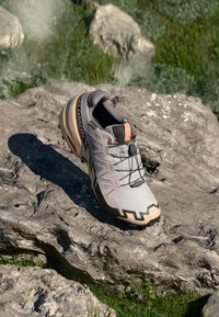 SPEEDCROSS 6 GTX - Krosa skriešanas apavi - gull/white pepper/black