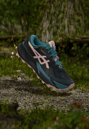 TRABUCO 14 GTX - Pantofi alergare trail - black/morganite