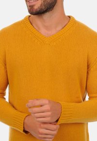 Mahogany ATMAN - Pullover - mustard