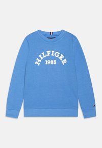 Tommy Hilfiger Sweatshirt - blue spell