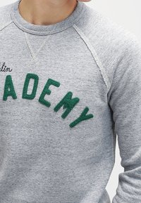 Felpa grigia con il testo ricamato "ACADEMY" in verde, maniche raglan e un tessuto testurizzato. Presenta un collo a costine e dettagli di cucitura.