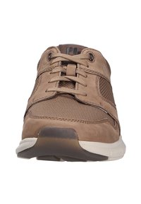 Scarpe sportive marroni realizzate in morbido suede e rete, con design stringato, linguetta imbottita e suola in gomma resistente.