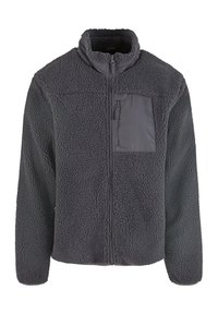 WITH STAND UP COLLAR - Fleece jacket - cloudgrey